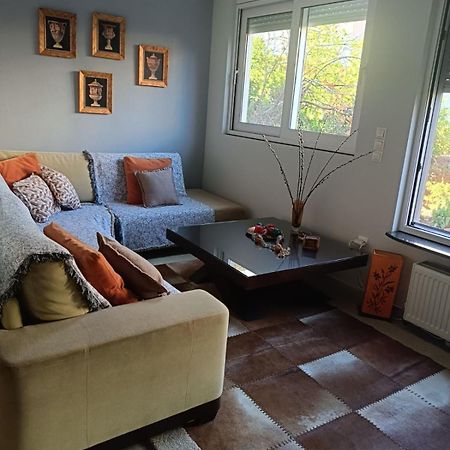 شقة Lefkothea'S House أثينا المظهر الخارجي الصورة