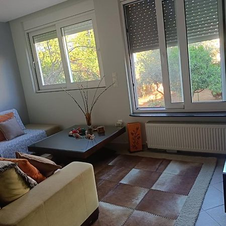 شقة Lefkothea'S House أثينا المظهر الخارجي الصورة
